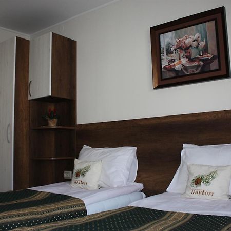 Къща За Гости Плевнята Bansko Ngoại thất bức ảnh