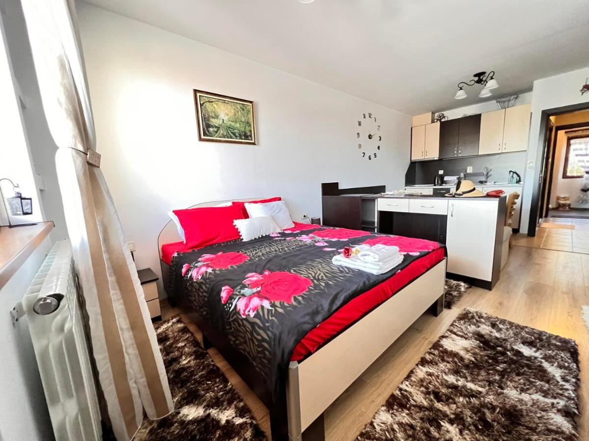Къща За Гости Плевнята Bansko Ngoại thất bức ảnh
