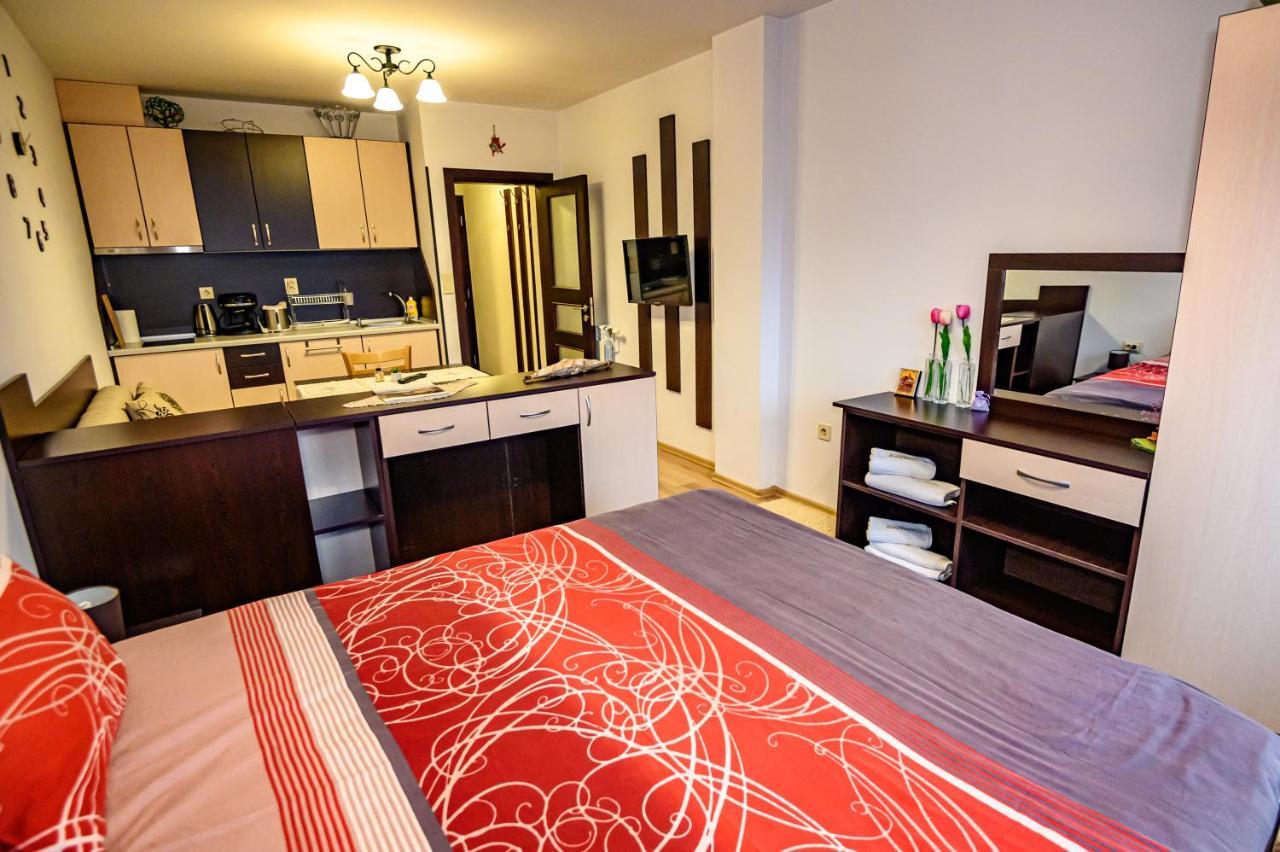 Къща За Гости Плевнята Bansko Ngoại thất bức ảnh